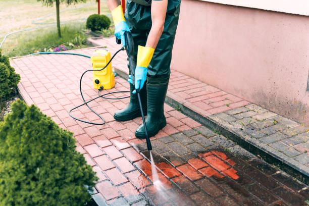 Boat and Dock Cleaning in Jamesburg, NJ